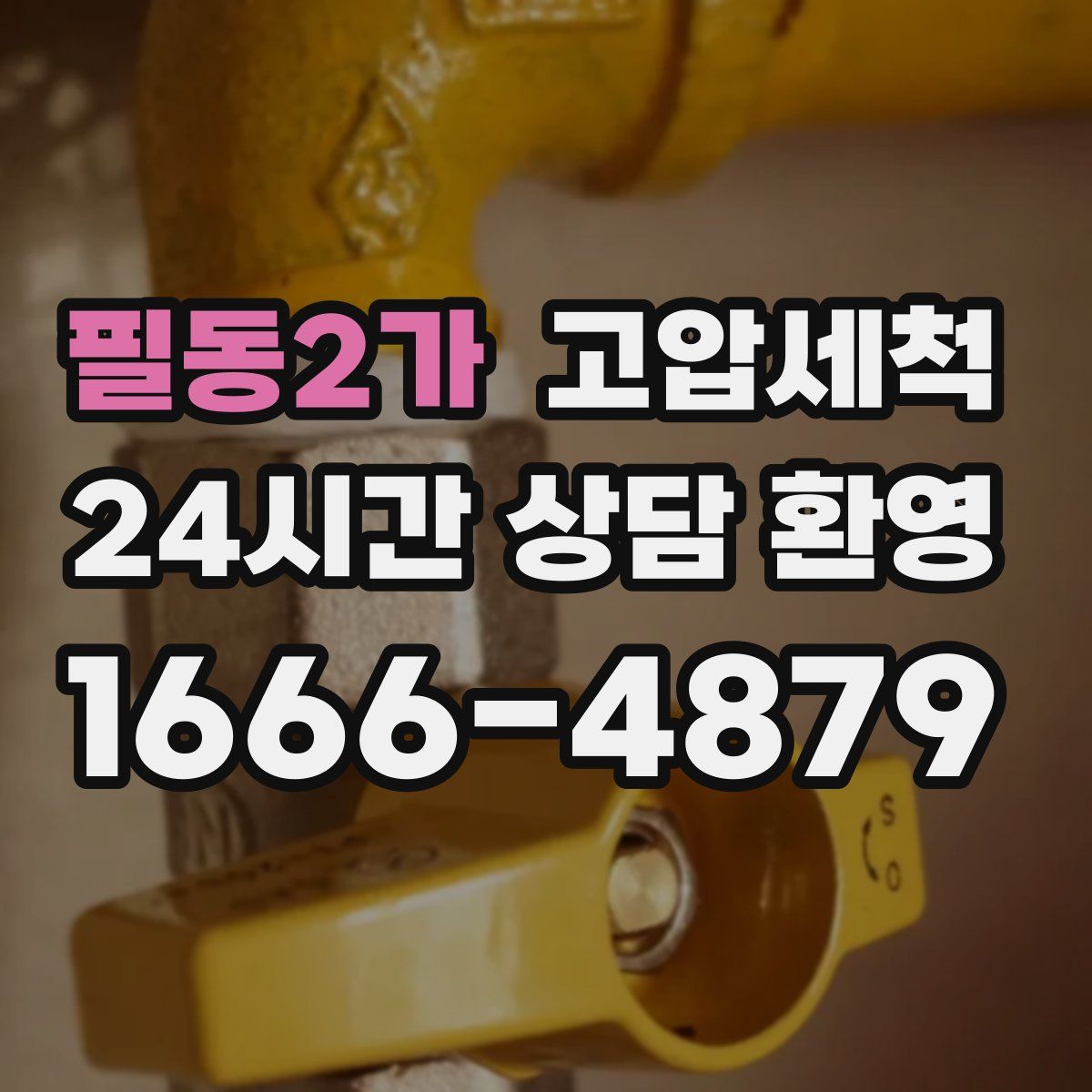 필동2가 고압세척