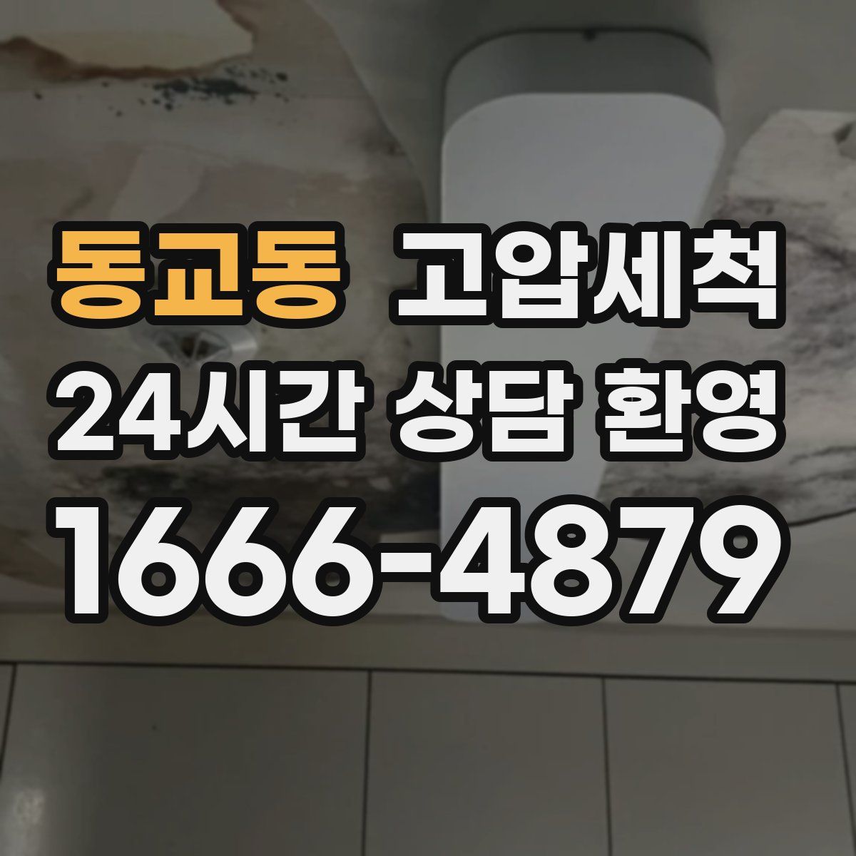 동교동 고압세척