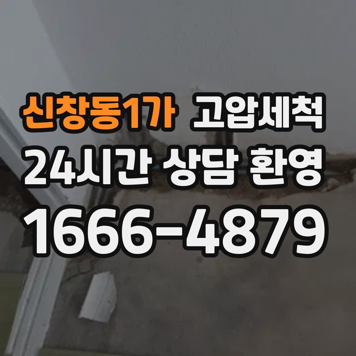 신창동1가 고압세척 반려가정 배려형 저자극 세정