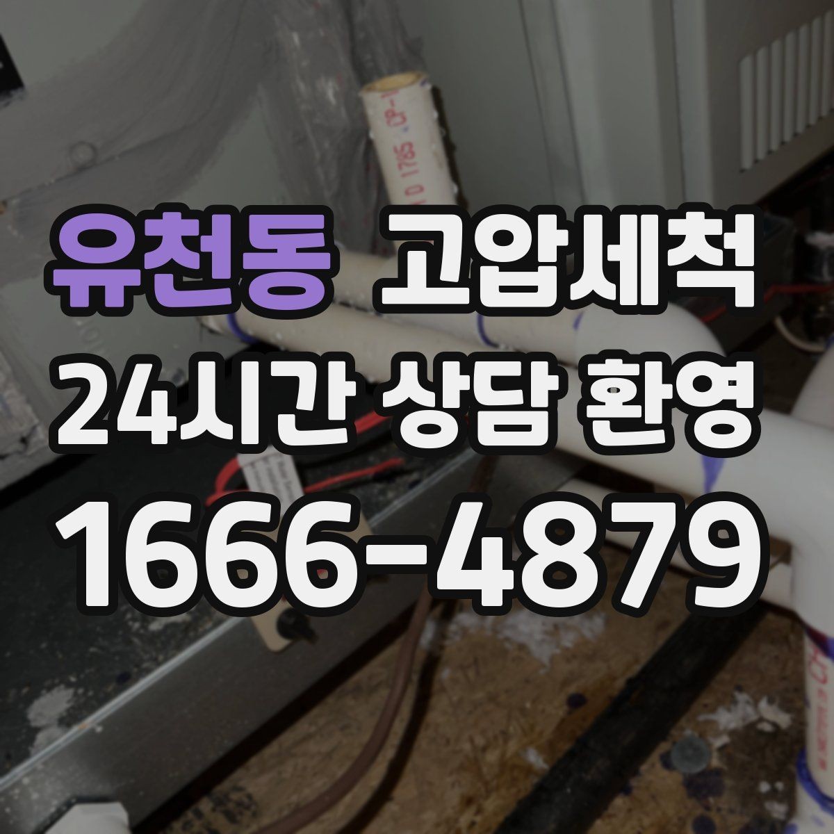 유천동 고압세척 카페·레스토랑 주방 위생 강화