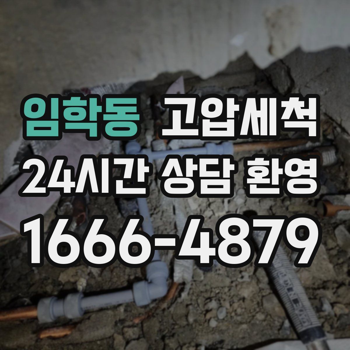 임학동 고압세척