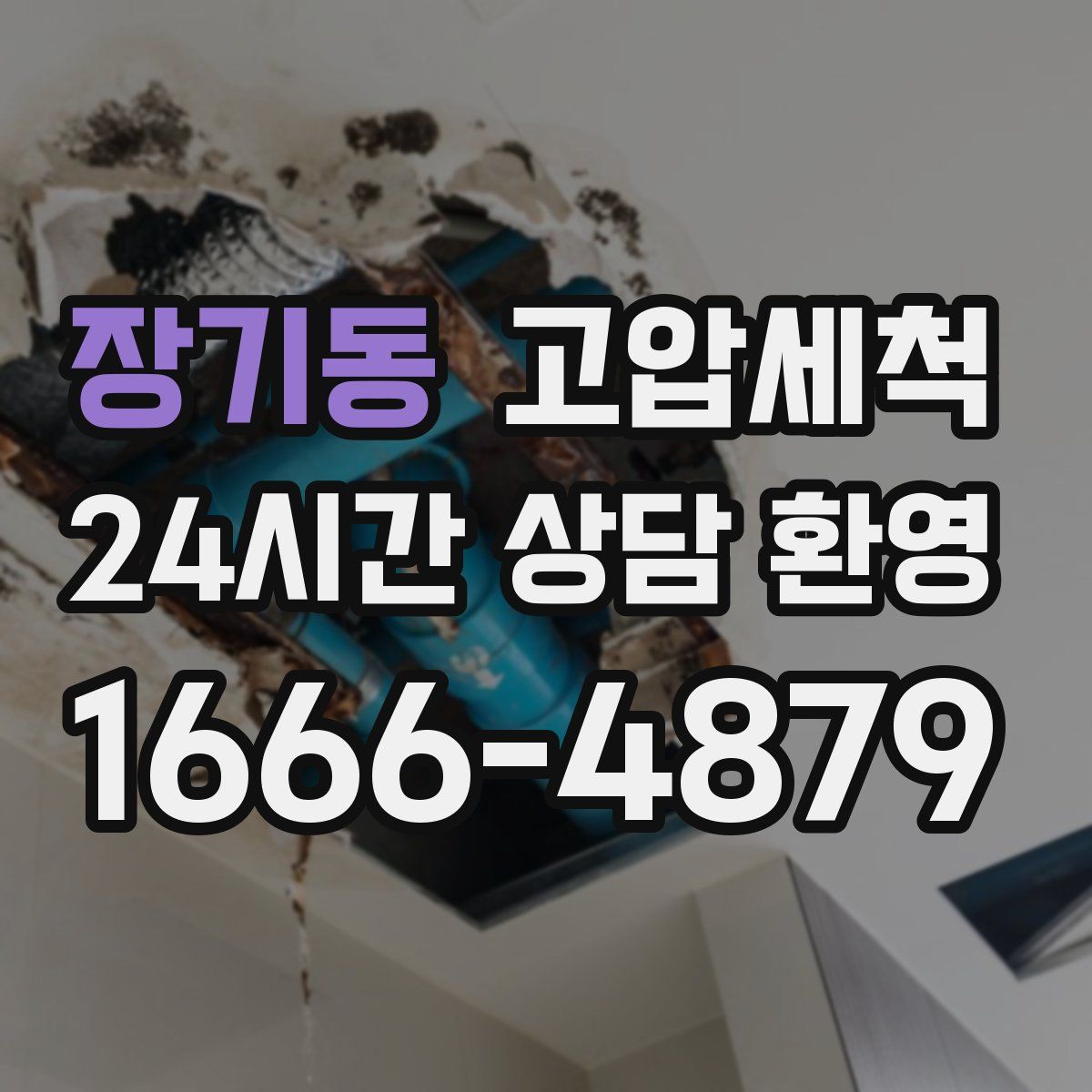 장기동 고압세척