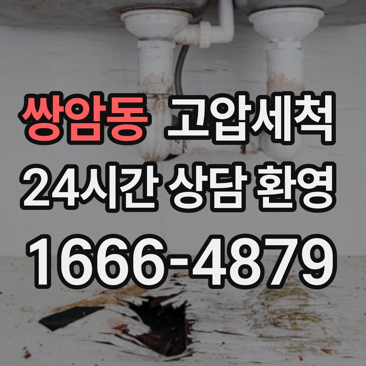 쌍암동 고압세척 반려가정 배려형 저자극 세정