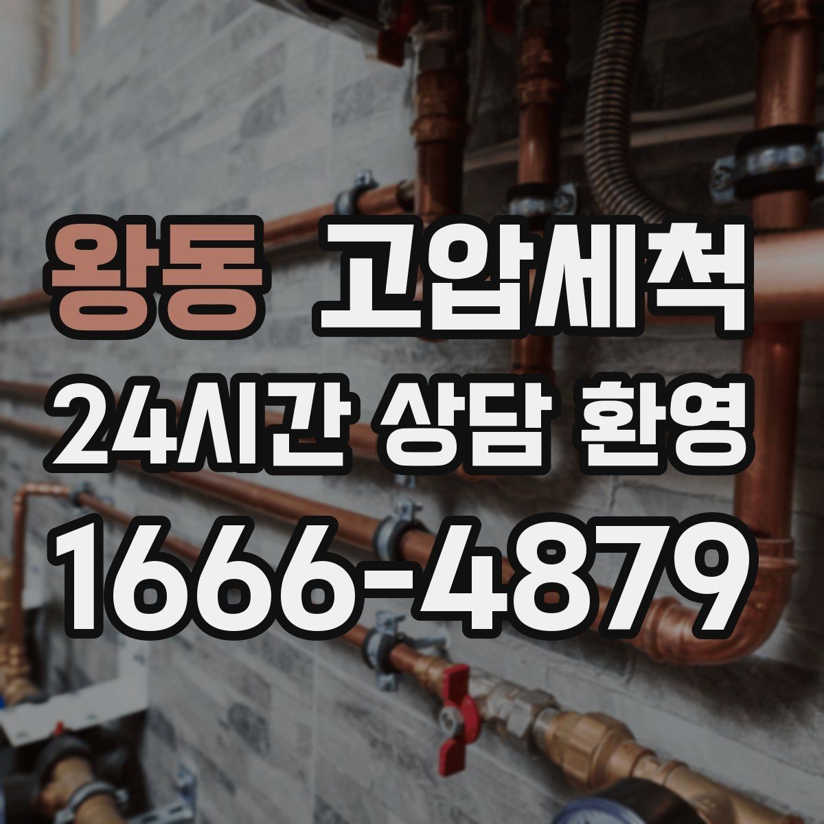 왕동 고압세척 화장실 하수구 냄새 가족 생활 지키기