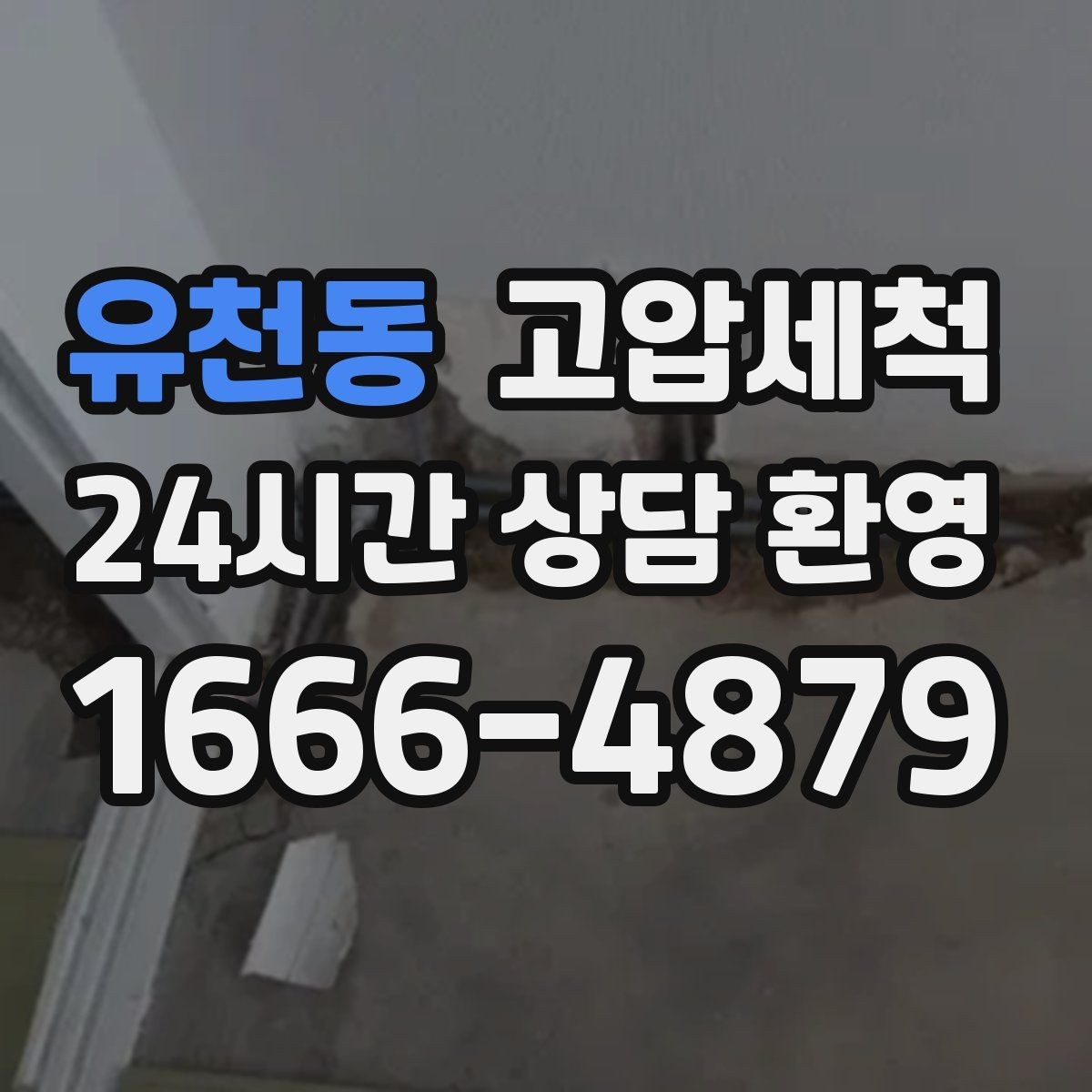 유천동 고압세척 화장실 하수구 냄새 변기 실리콘 점검