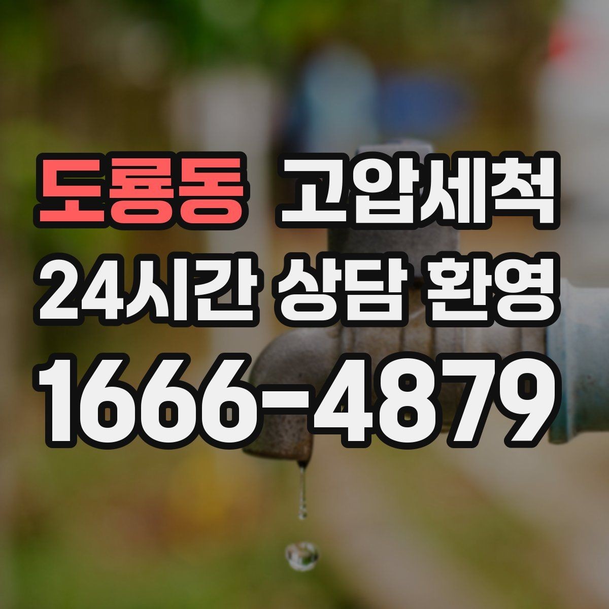 도룡동 고압세척 민원 다발 블록 집중 정비