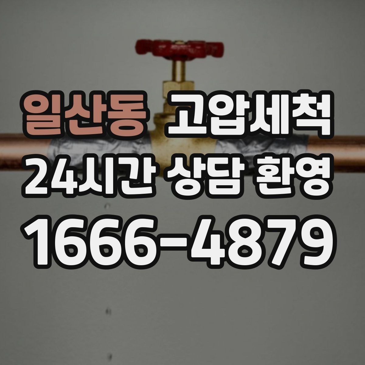 일산동 고압세척 하수구 냄새 제거 여름 고온기 악취 차단