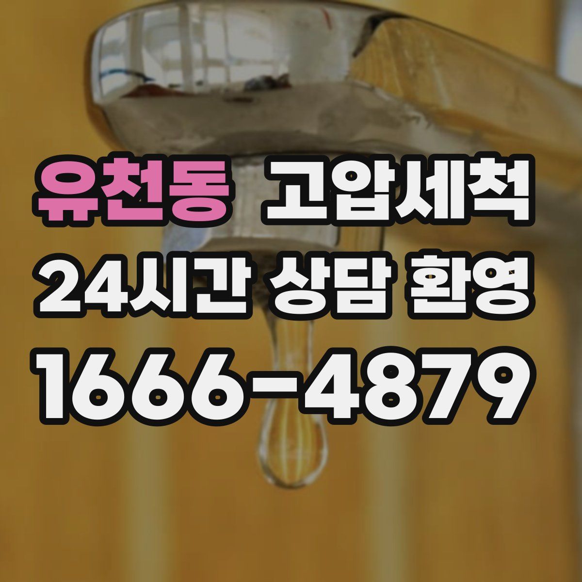 유천동 고압세척