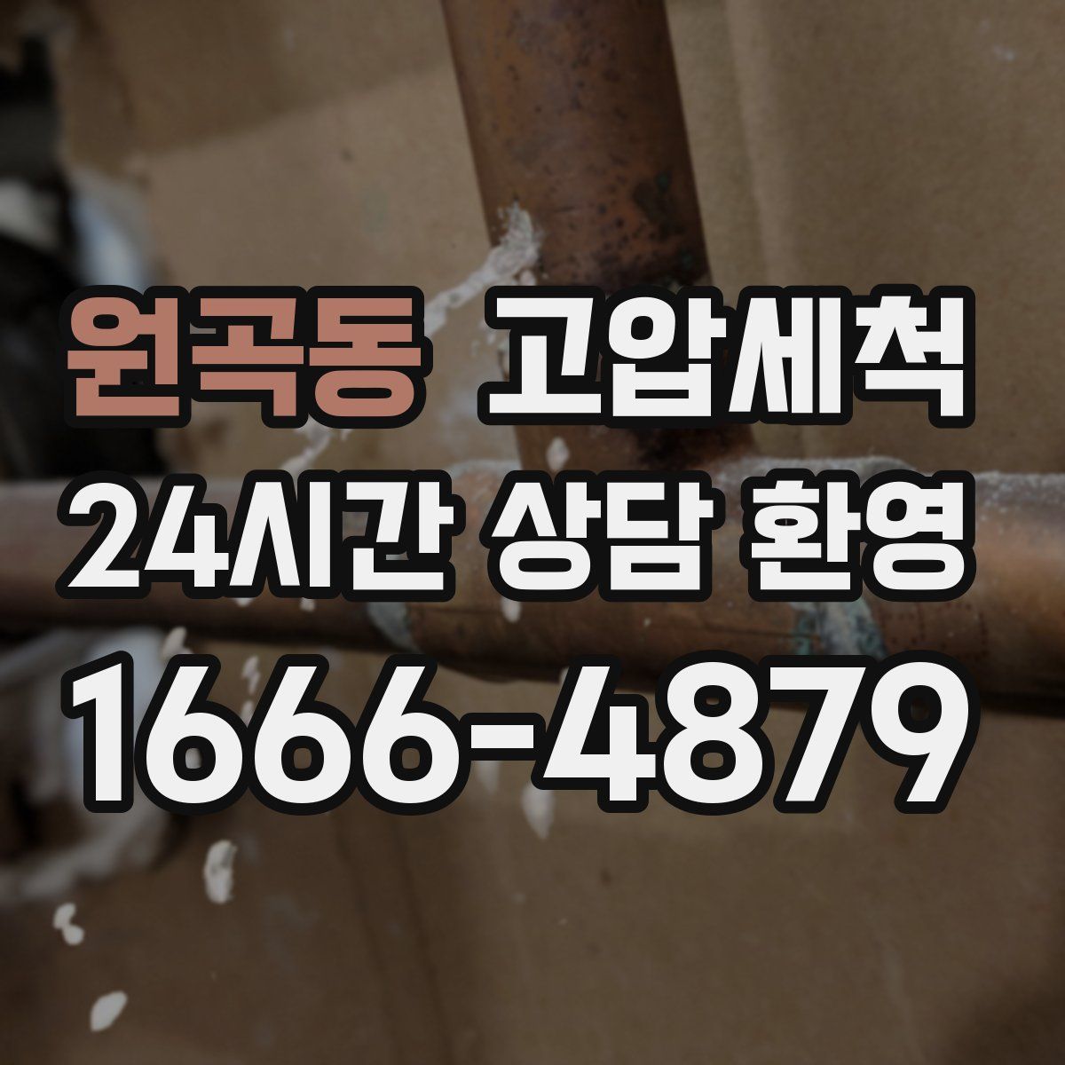 원곡동 고압세척