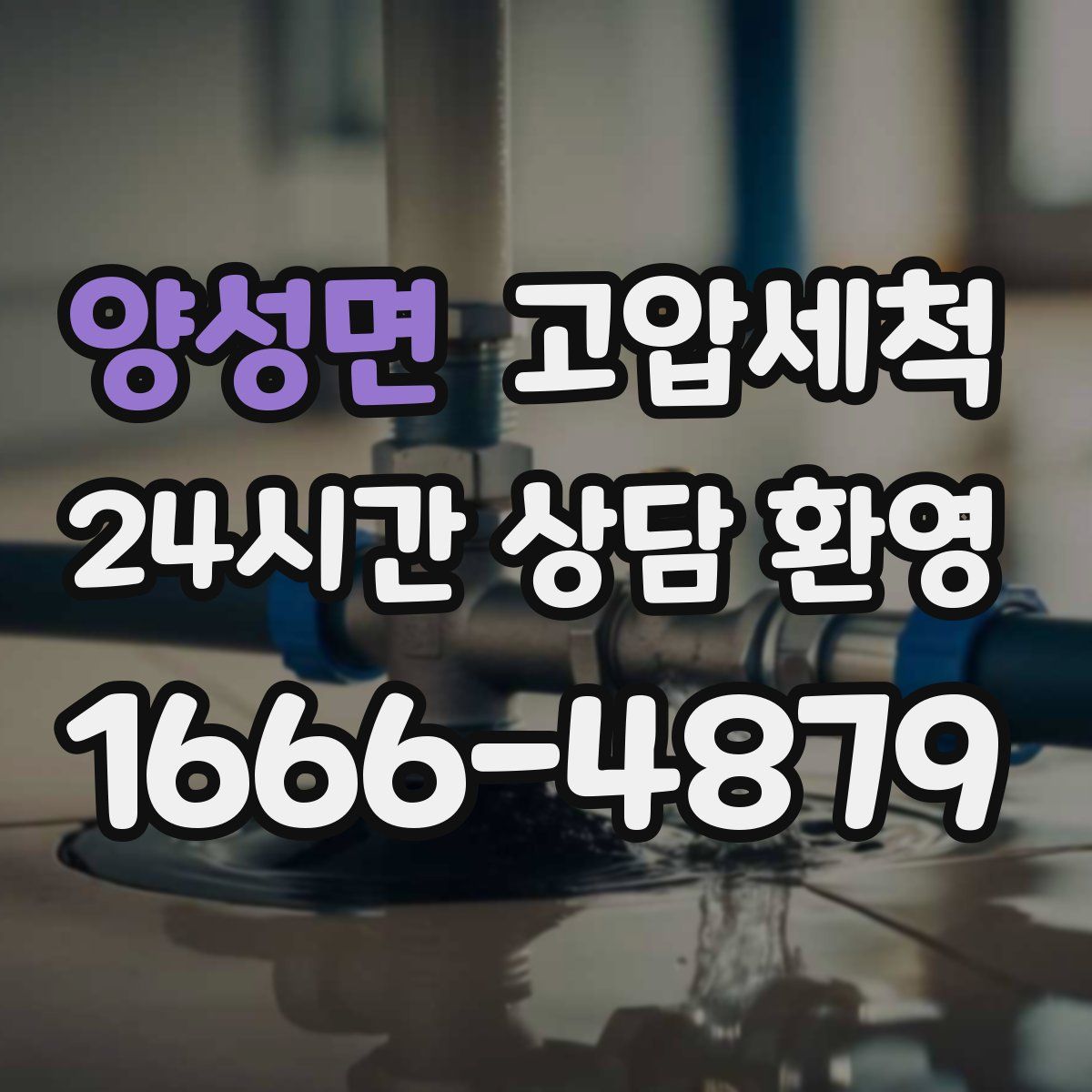 양성면 고압세척