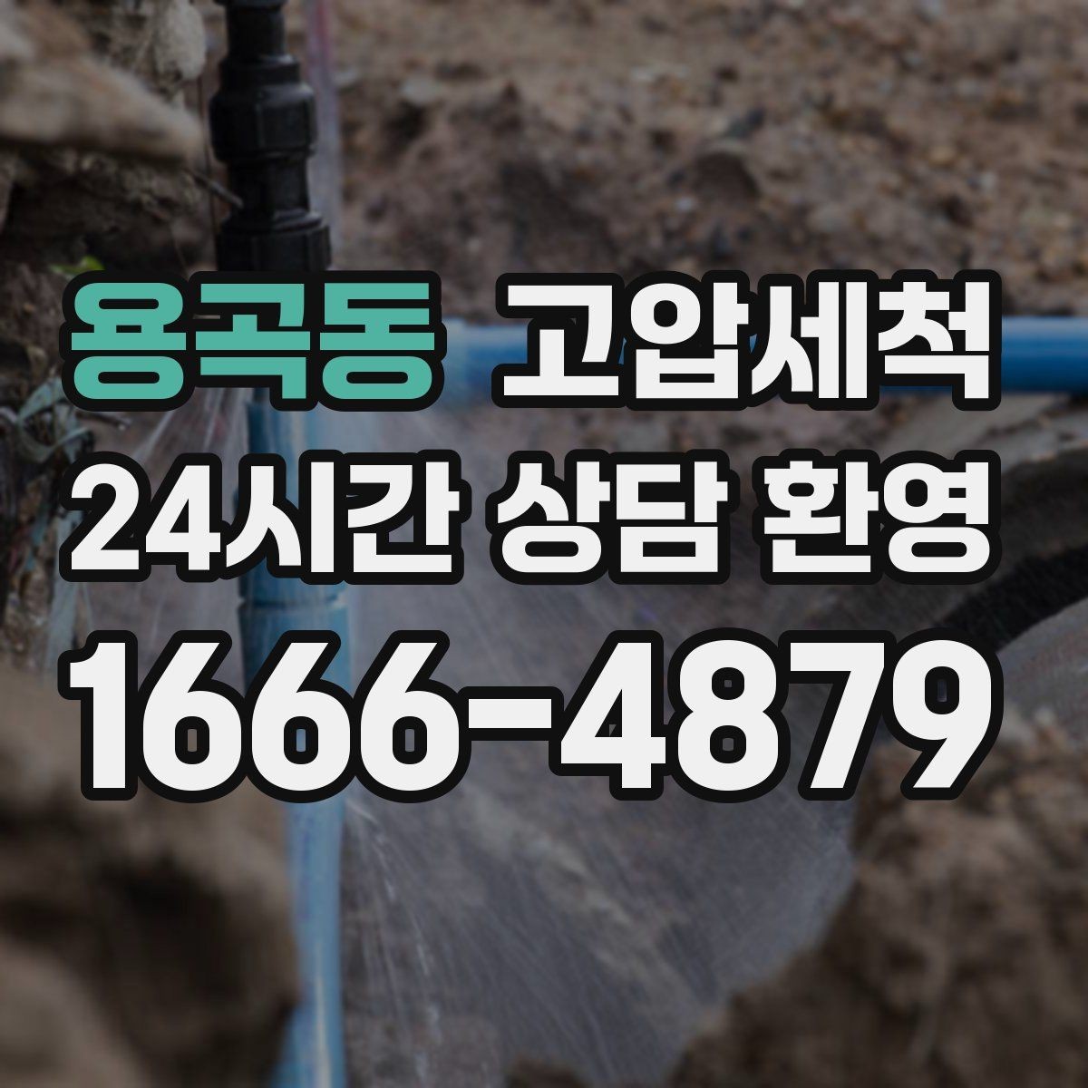 용곡동 고압세척 치익 소리도 조용해지는 집