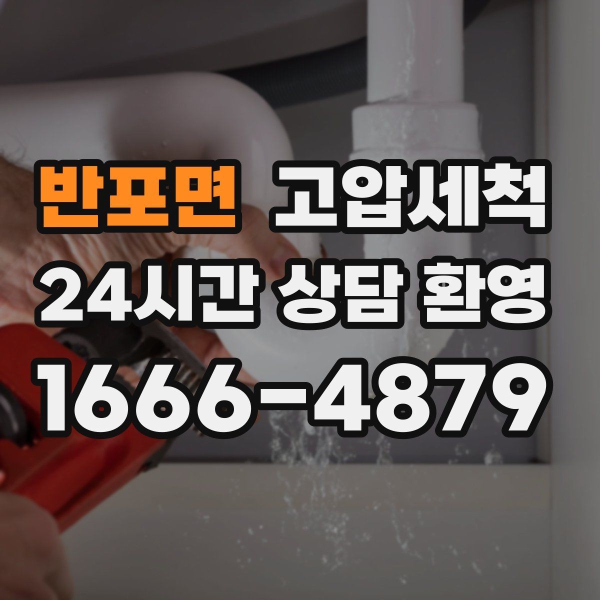 반포면 고압세척 아이와 반려동물 안심 케어