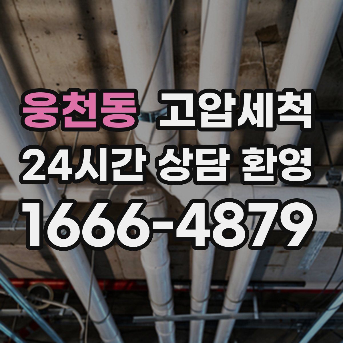 웅천동 고압세척