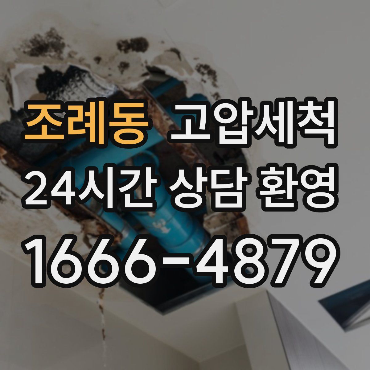 조례동 고압세척