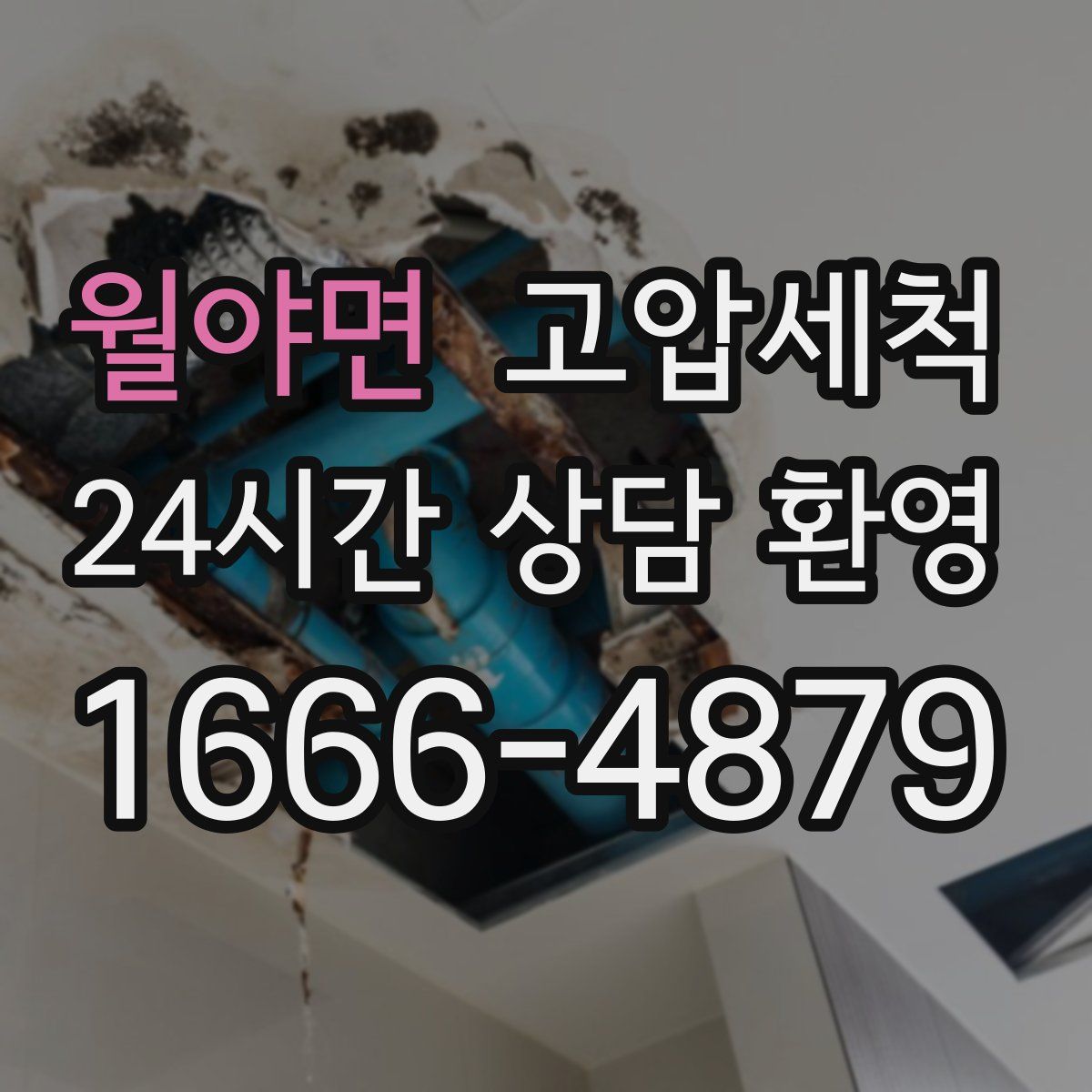 월야면 고압세척