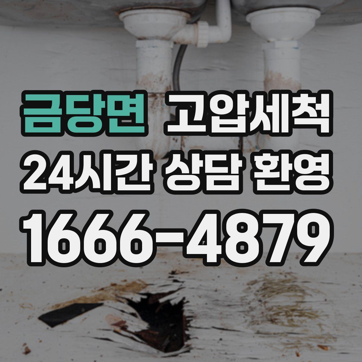 금당면 고압세척