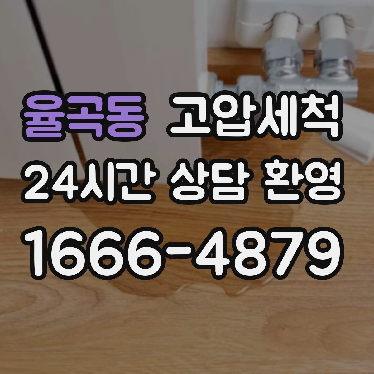 율곡동 고압세척 반려가정 배려형 저자극 세정