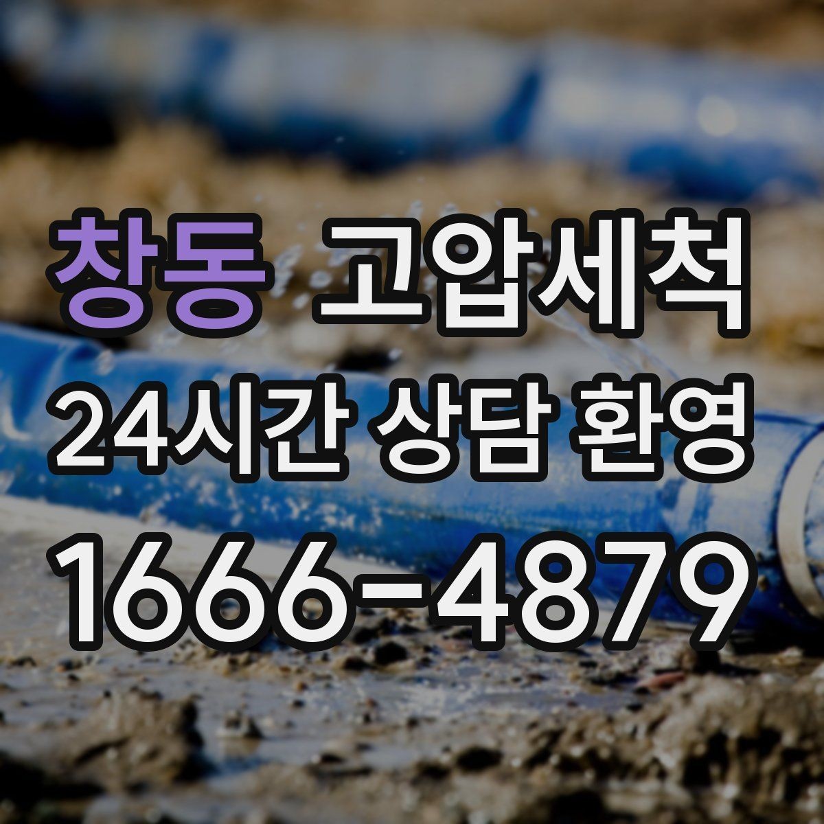 창동 고압세척 아이와 반려동물 안심 케어