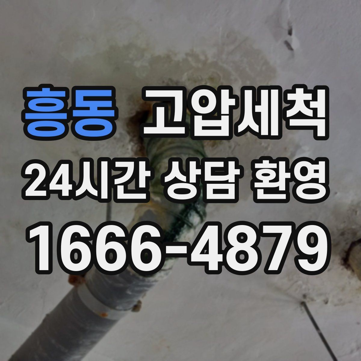 흥동 고압세척 하수구 냄새 차단 저층 역풍 집중 대응