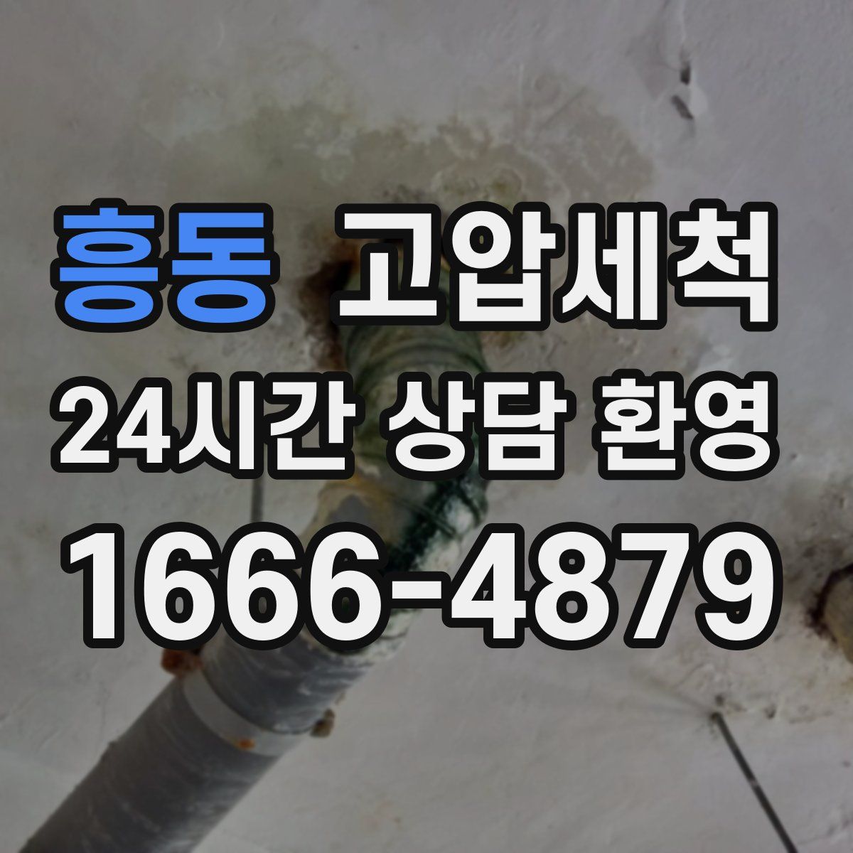 흥동 고압세척