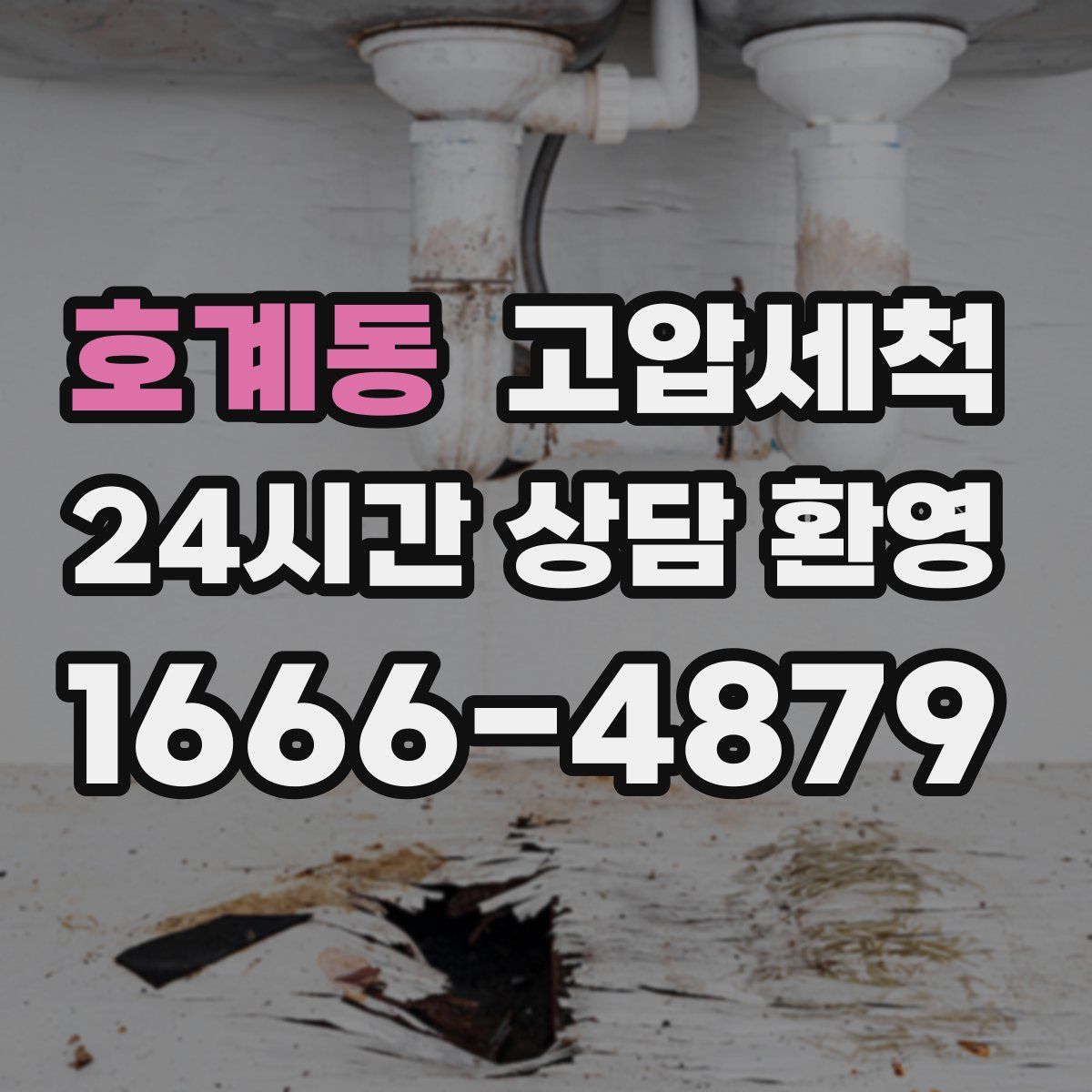 호계동 고압세척