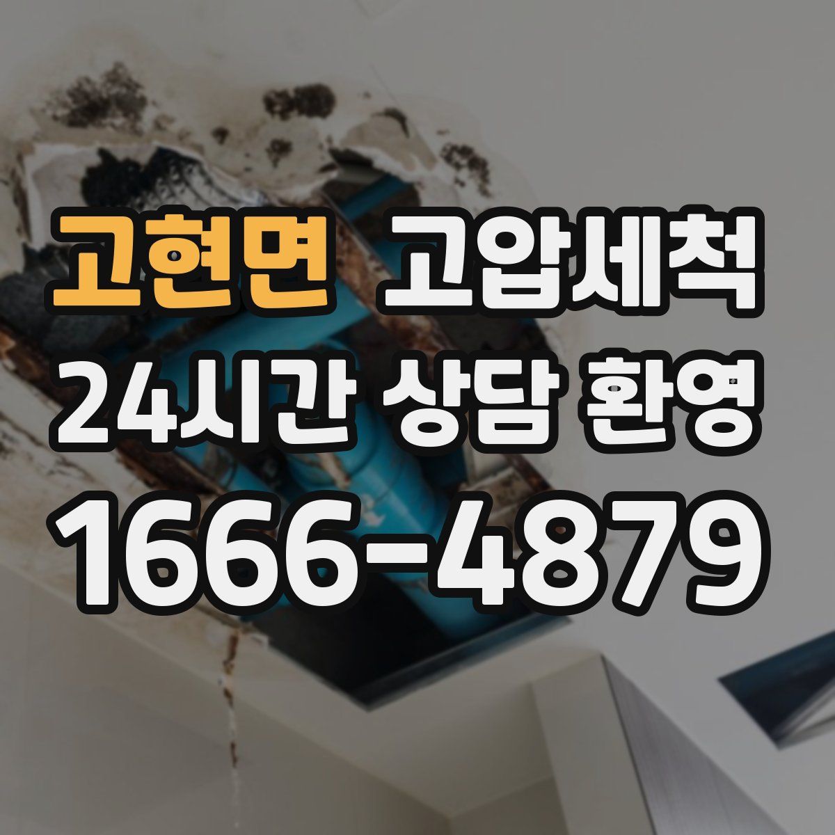 고현면 고압세척