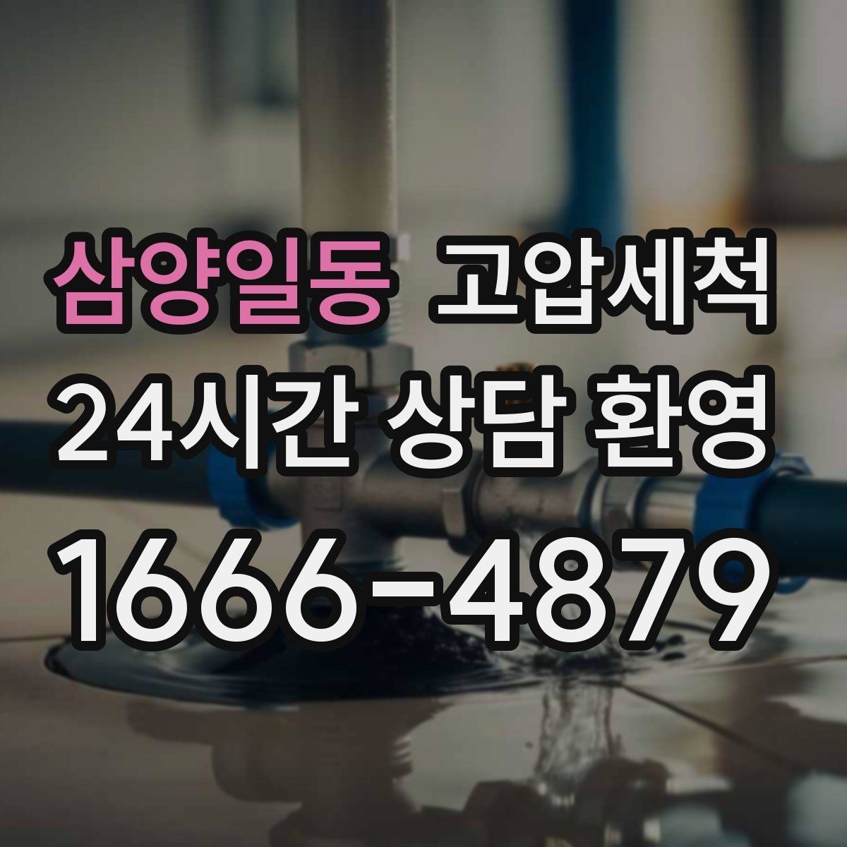 삼양일동 고압세척 하수구 냄새 제거 반려동물 배려 세정