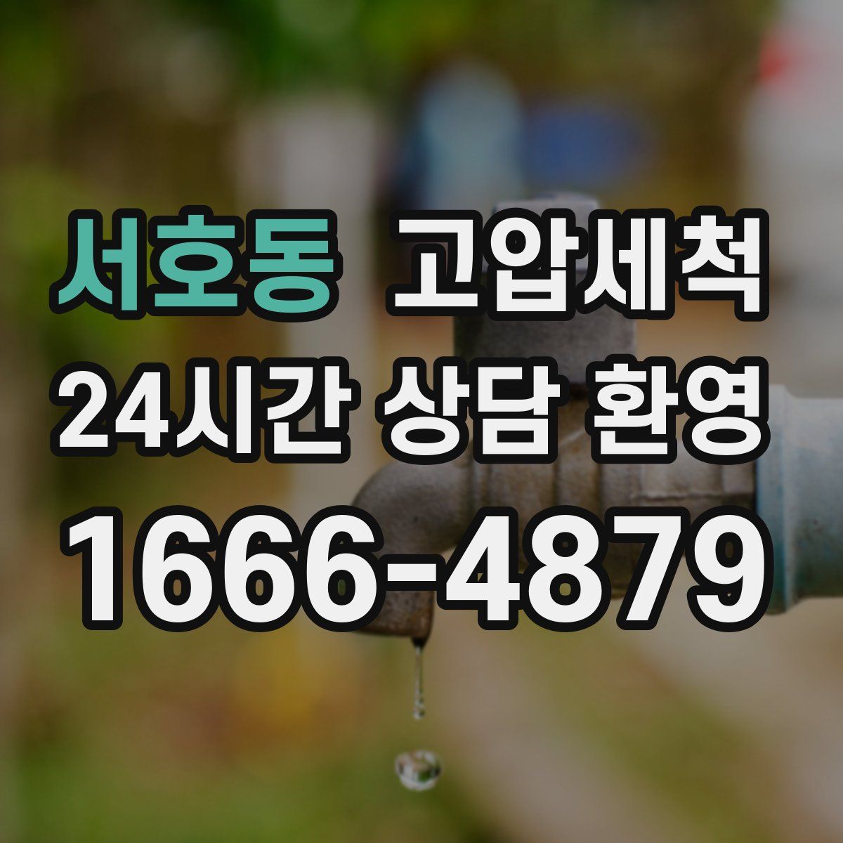 서호동 고압세척