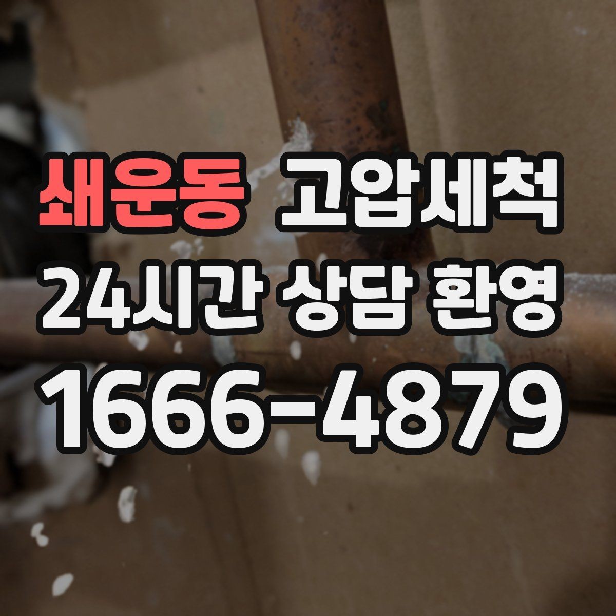 쇄운동 고압세척 화장실 하수구 냄새 장마철 특화 플랜