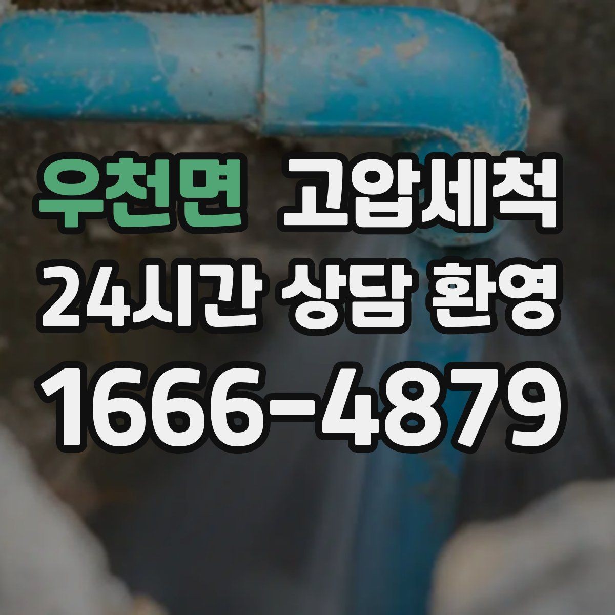 우천면 고압세척 아이와 반려동물 안심 케어
