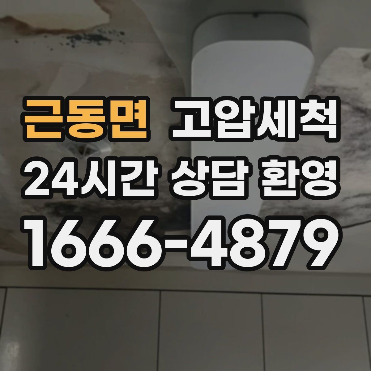 근동면 고압세척 집과 매장을 아우르는 솔루션