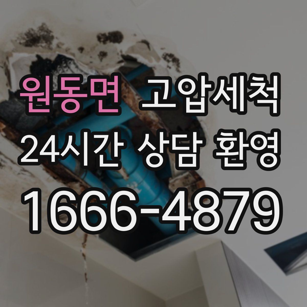 원동면 고압세척