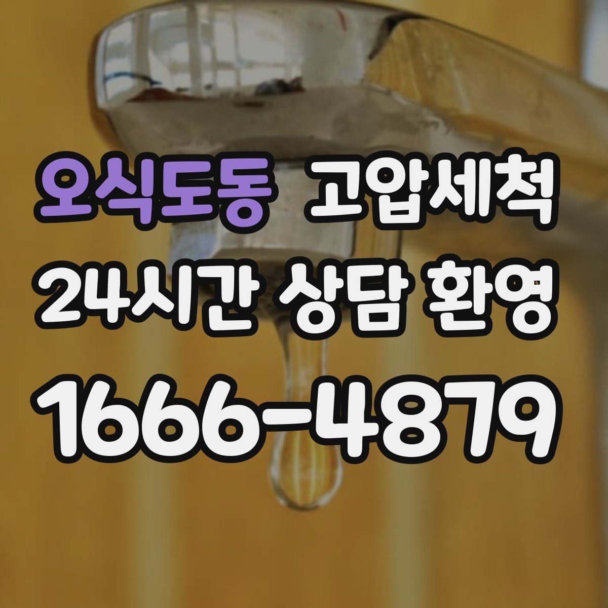오식도동 고압세척 확실한 마무리로 재발 차단