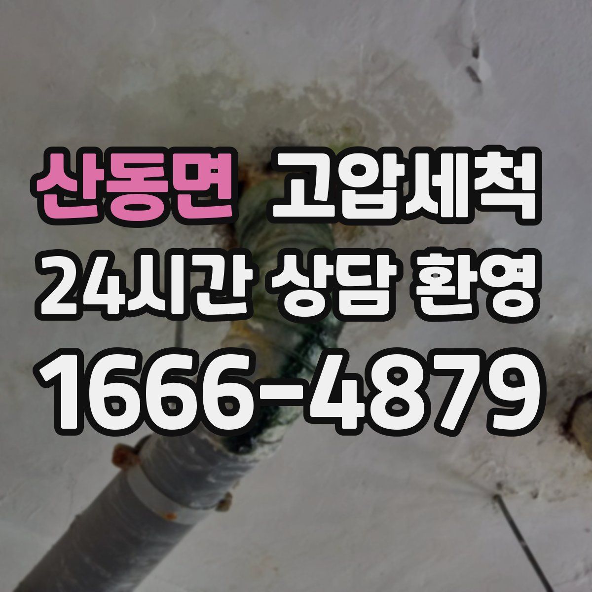 산동면 고압세척