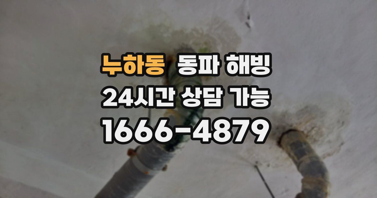 누하동 동파 해빙