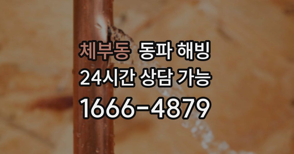 체부동 동파 해빙