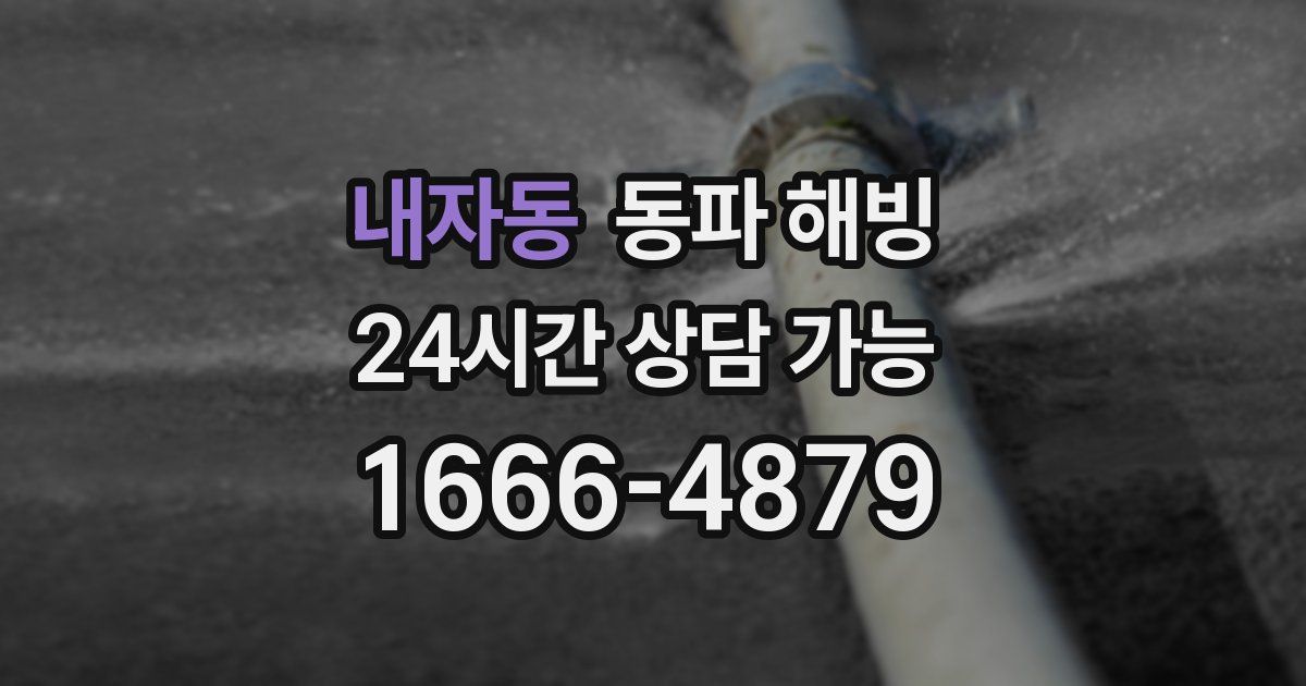 내자동 동파 해빙