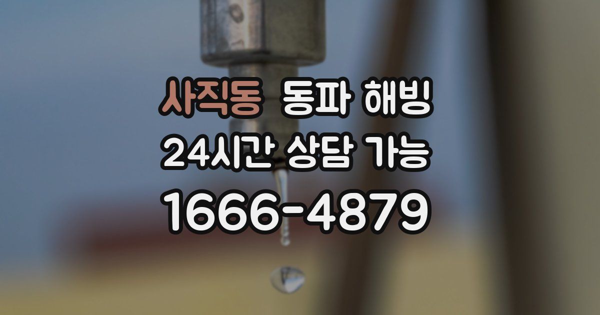 사직동 동파 해빙