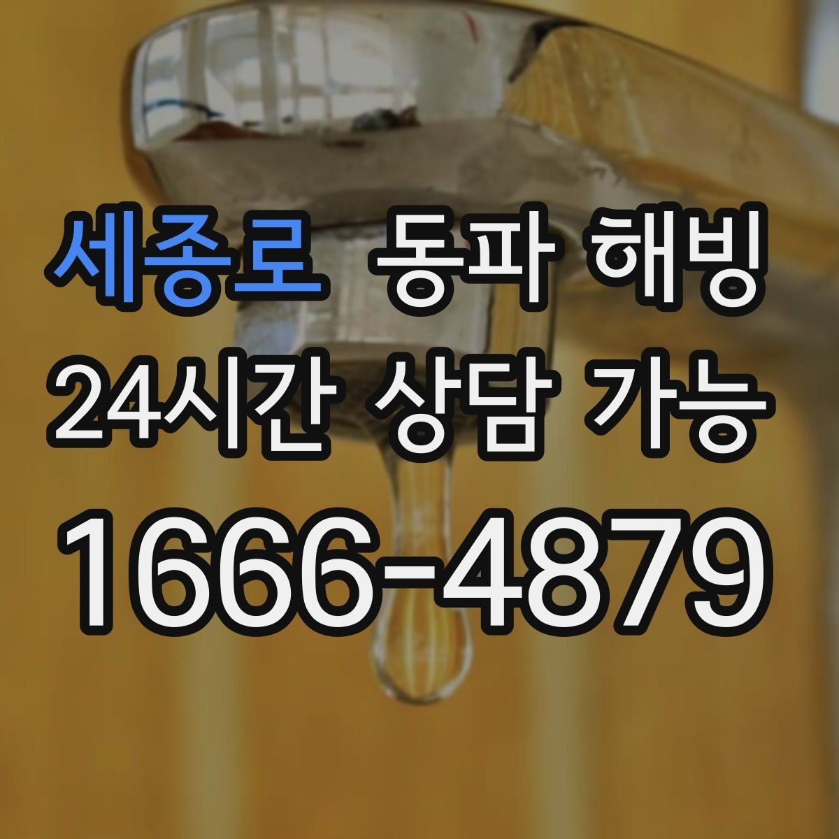 세종로 동파 해빙 급수 회복 후 물기 흔적이 보일 때 확인