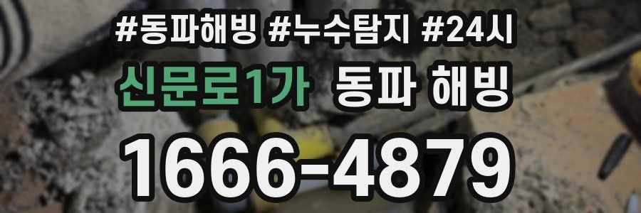 신문로1가 동파