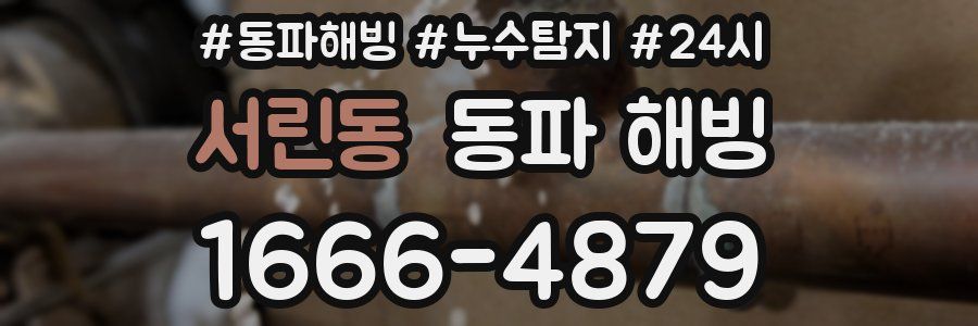 서린동 동파