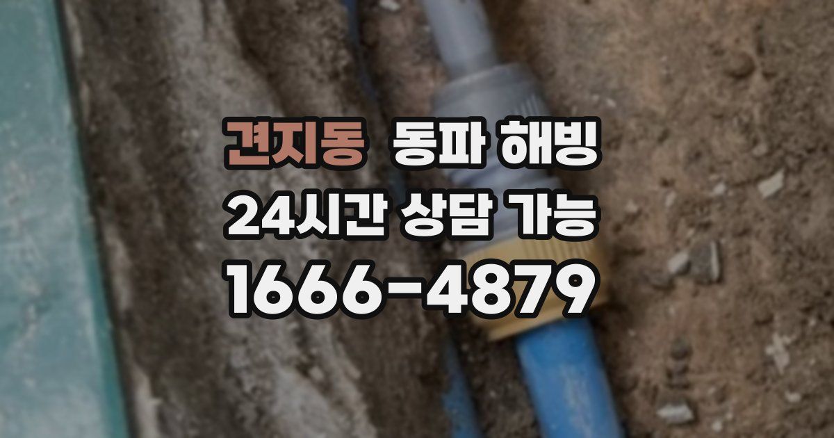 견지동 동파 해빙