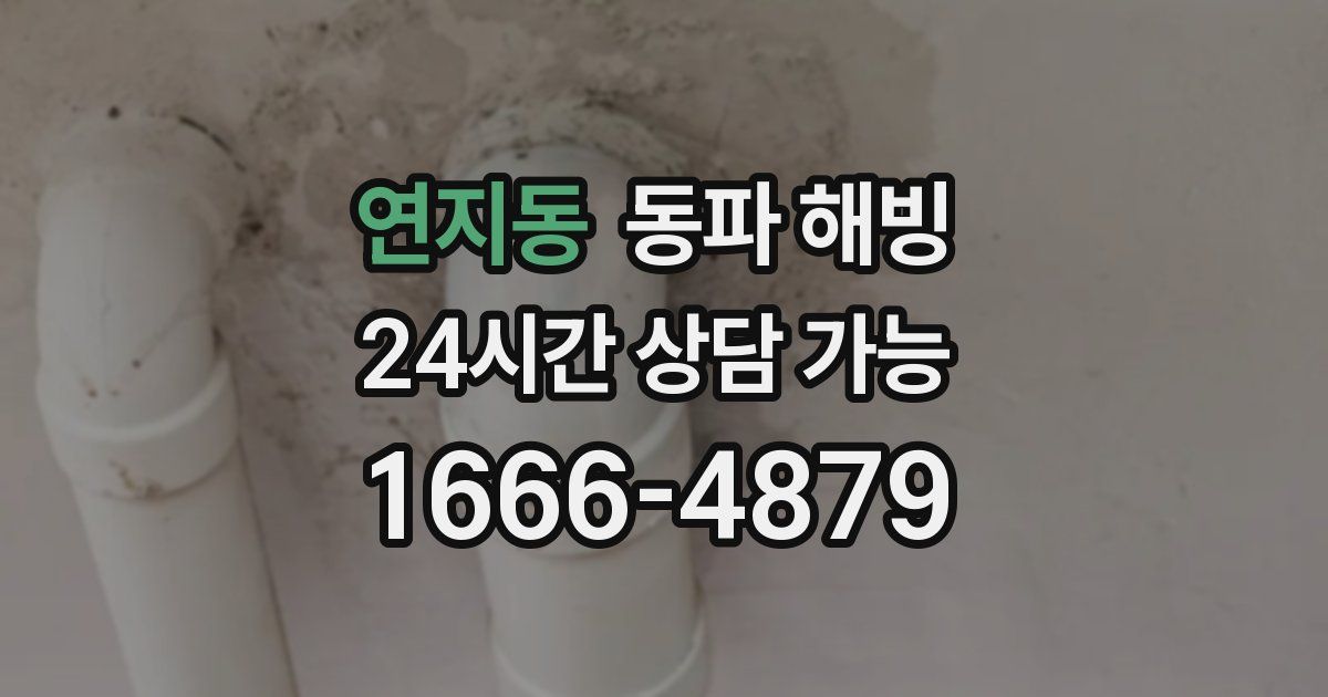 연지동 동파 해빙