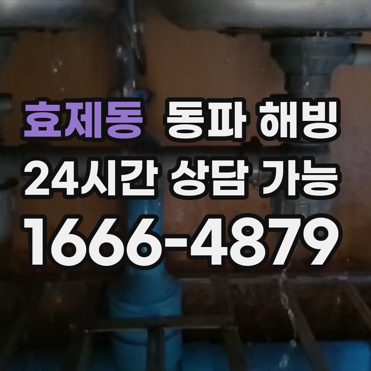 효제동 동파 해빙 마당 수도 결빙이 반복되는 원인