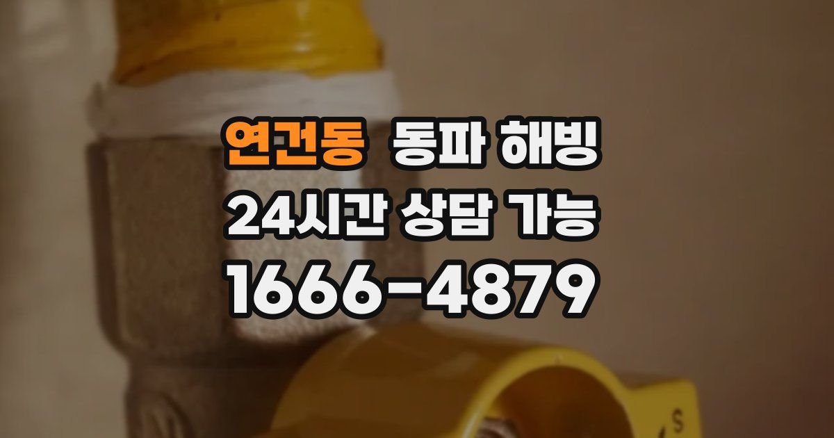 연건동 동파 해빙