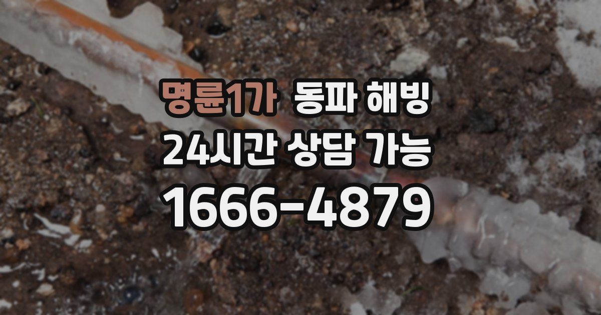 명륜1가 동파 해빙