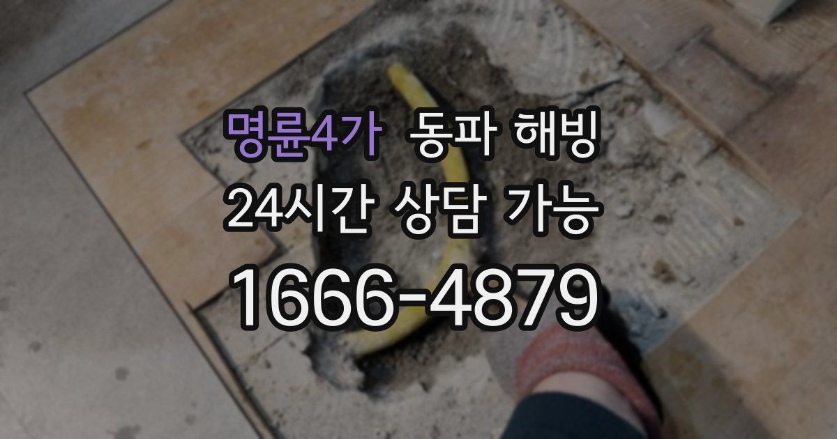 명륜4가 동파 해빙