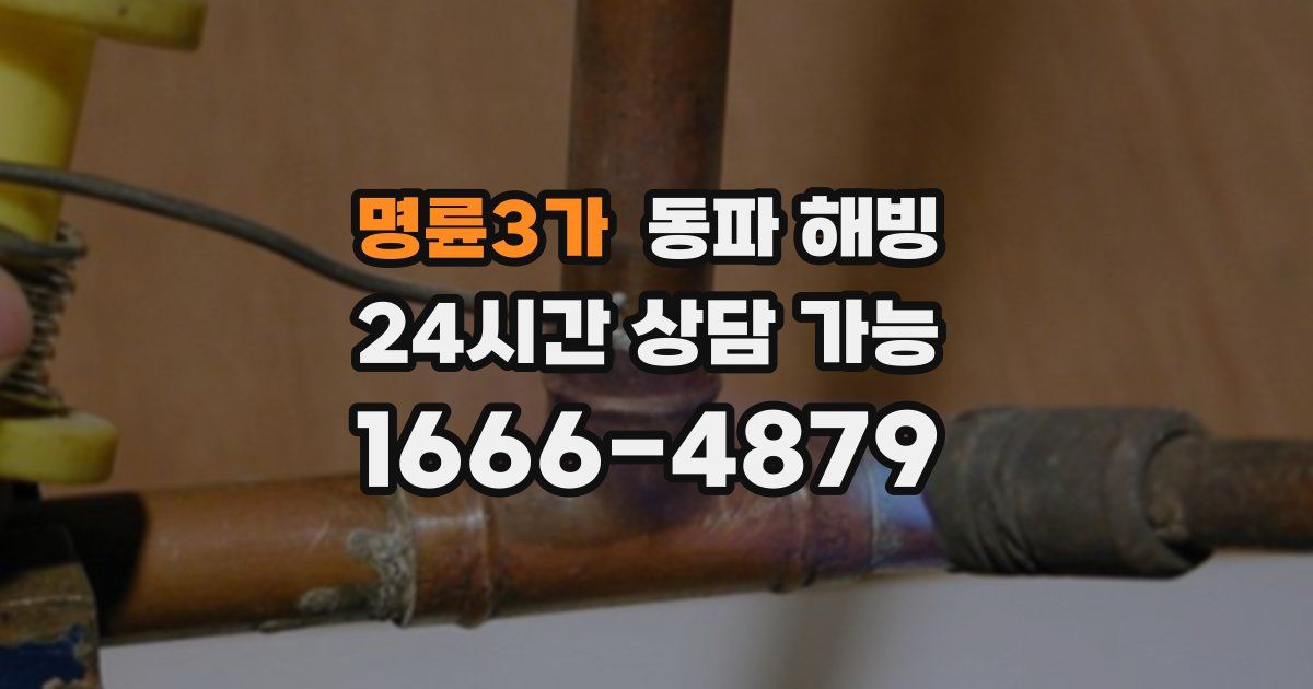 명륜3가 동파 해빙