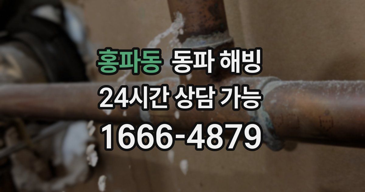 홍파동 동파 해빙