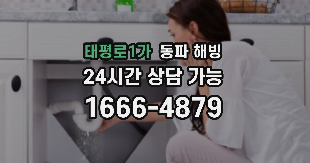 태평로1가 동파 해빙